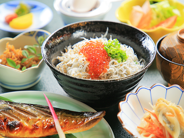 しらす丼